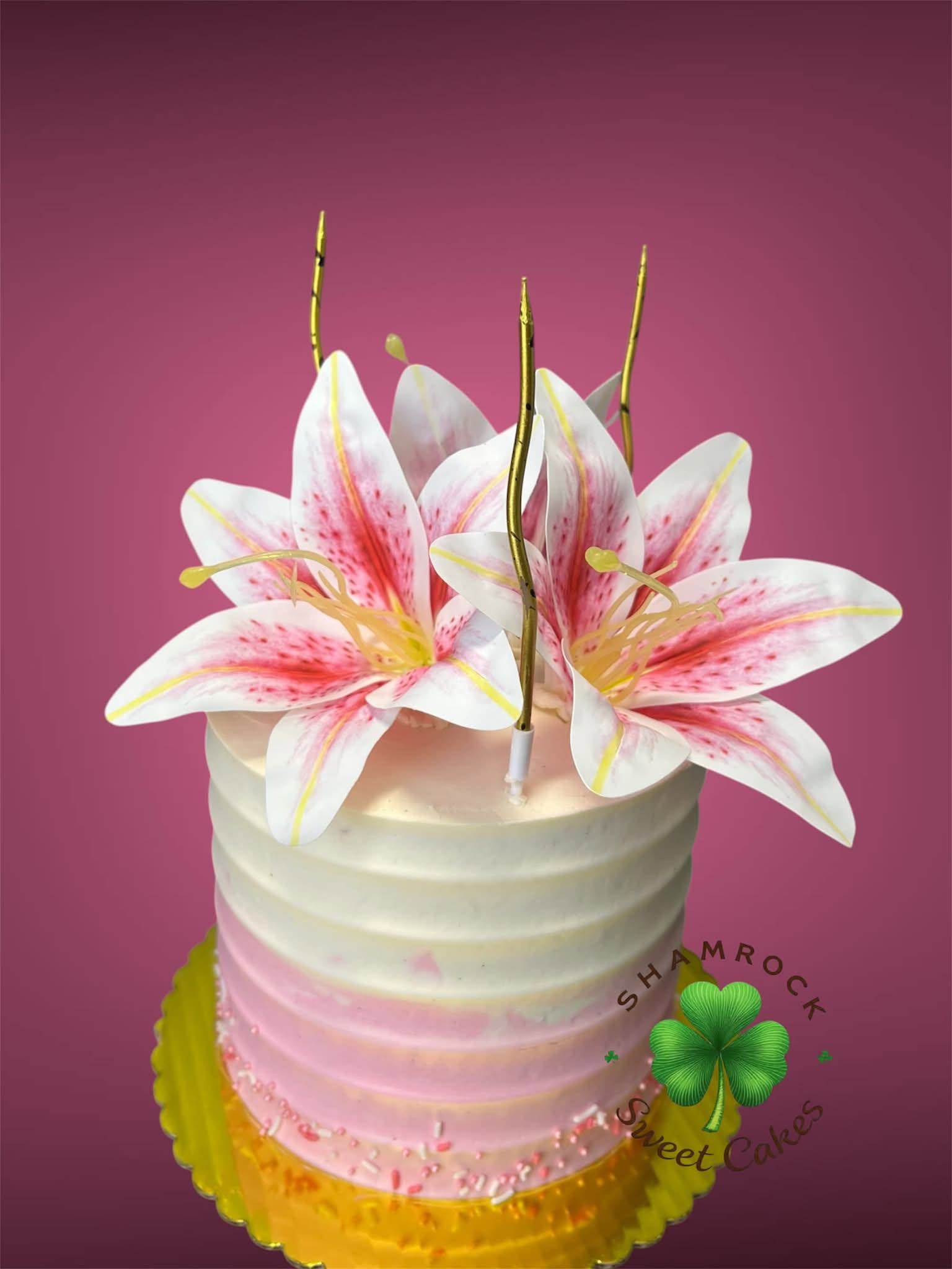 Custom cake design 15 by Shamrock Sweet Cakes