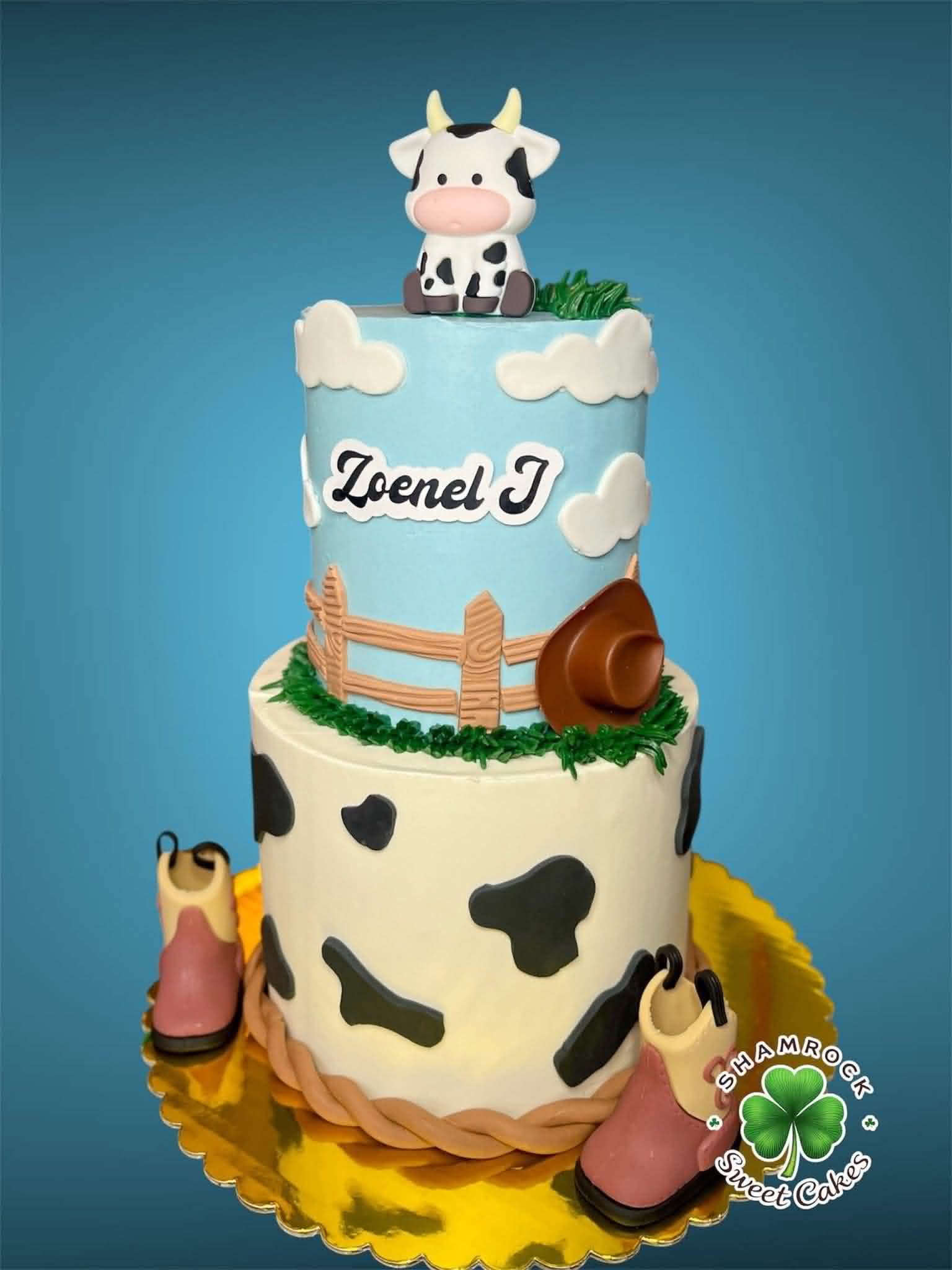 Custom cake design 6 by Shamrock Sweet Cakes